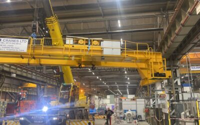 Twin Beam Crane and Single Beam Crane with Gantry Support System